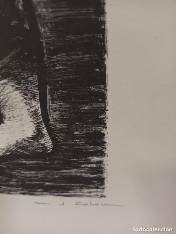 Arte: Grabado de M.J Colom - Foto 3