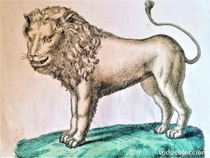 antiguos grabados caza mayor siglo xviii, leon - Acquista Incisioni antiche  fino al XVIII secolo su todocoleccion