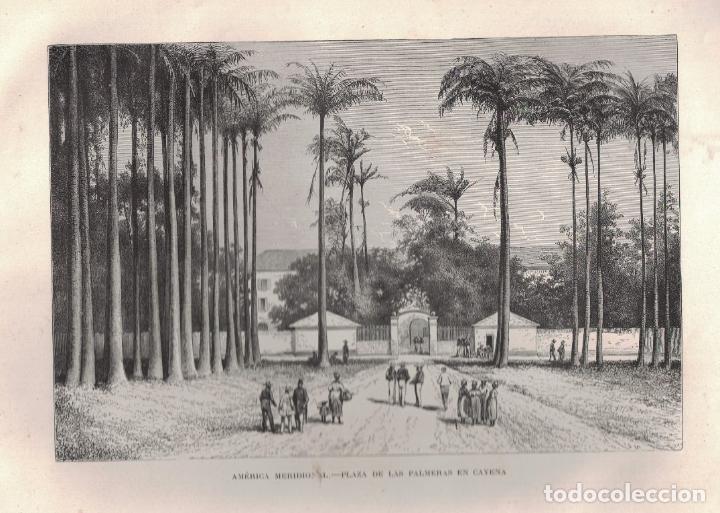 Art: PLAZA DE LAS PALMERAS EN CAYENA (Am&eacute;rica Meridional) - Riou, lo grabo.