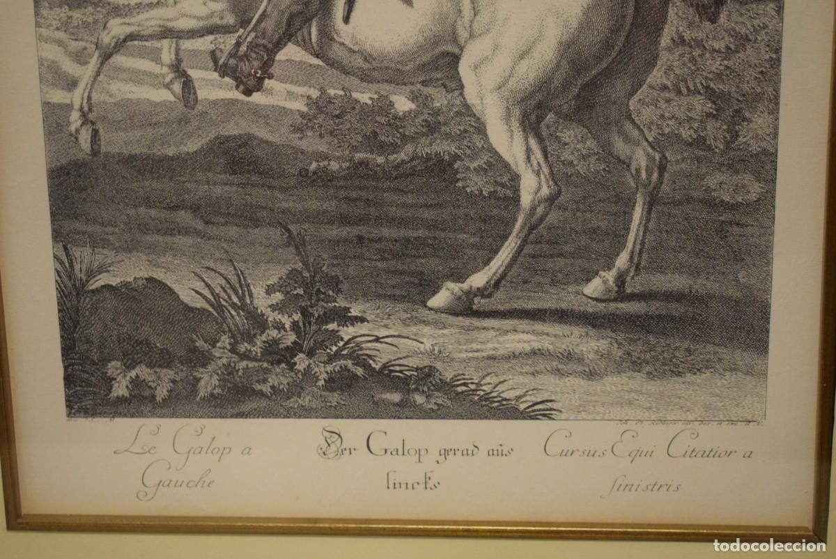 Arte: Dos grabados de caballos y jinetes - Foto 5