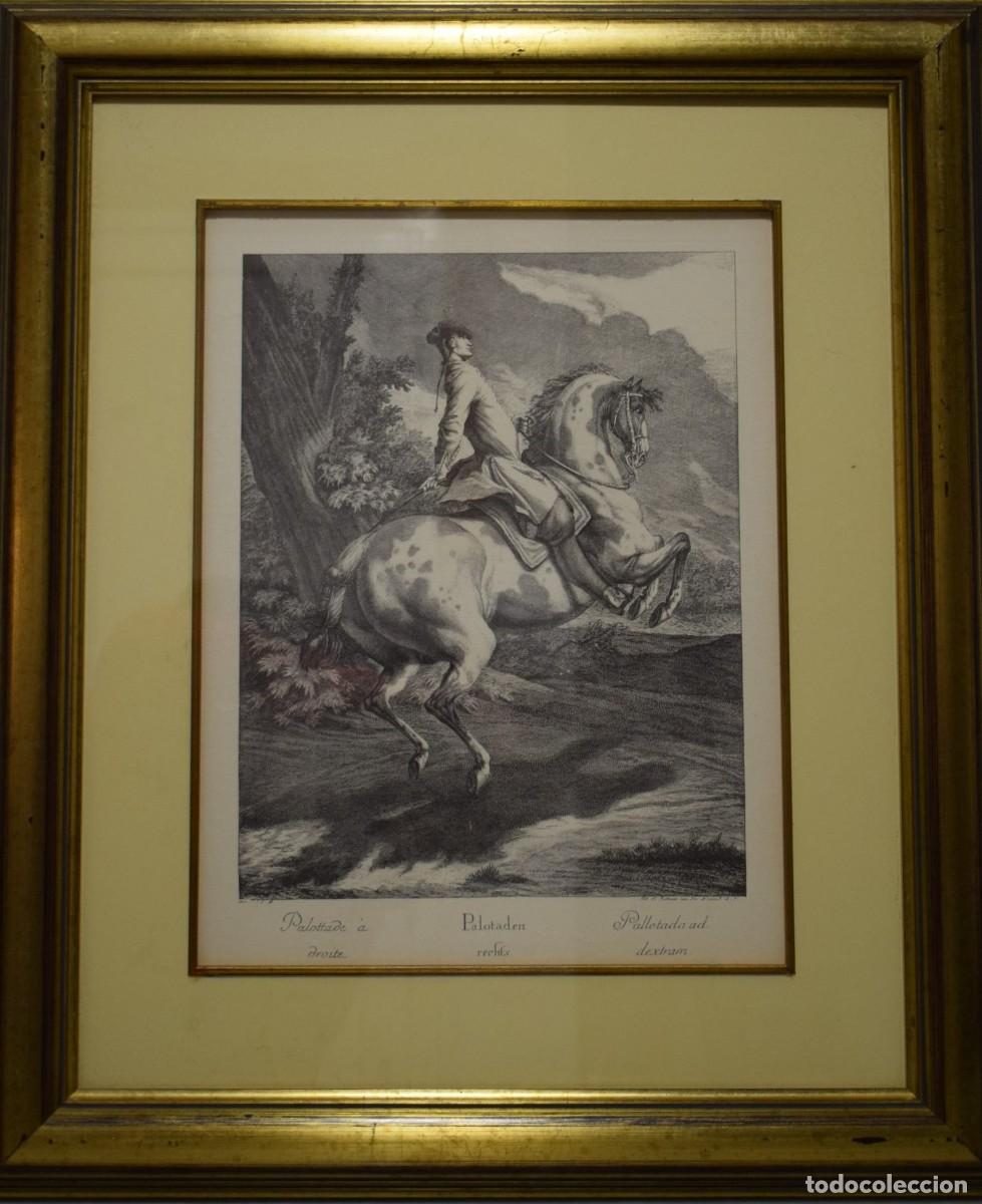 Arte: Dos grabados de caballos y jinetes - Foto 8