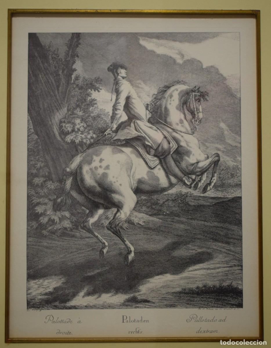 Arte: Dos grabados de caballos y jinetes - Foto 9