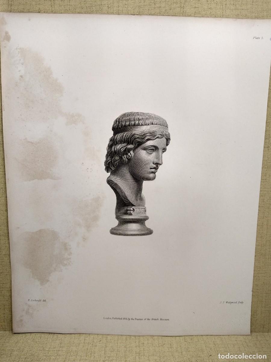 Arte: Busto de Baco, Ancient marbles The British Museum 1856, Parte XI Plancha V, mitologia