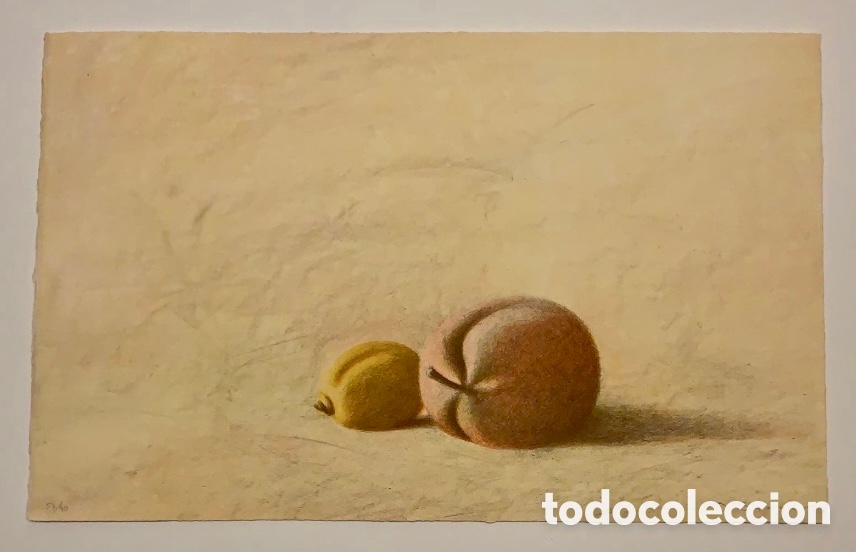 Arte: LITOGRAFIA RAIMON SUNYER - Foto 1