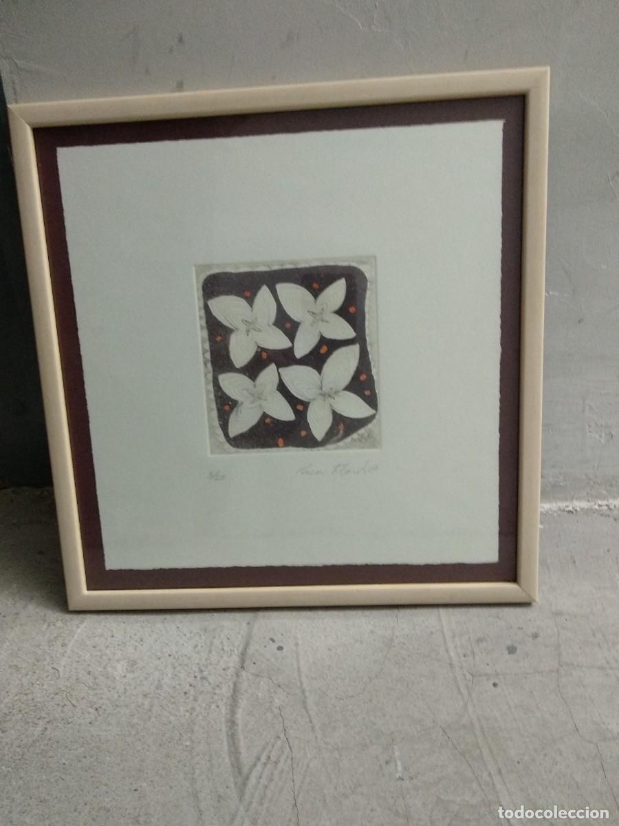 Arte: GRABADO. FLORES - Foto 1