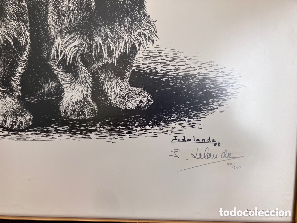 Arte: Litograf&iacute;a J. Lalanda 50/200 - Foto 2