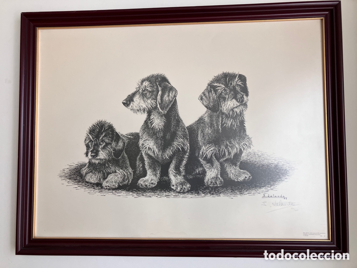 Arte: Litograf&iacute;a J. Lalanda 50/200 - Foto 1