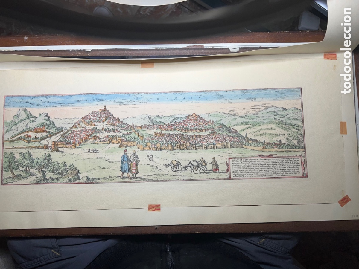Arte: GRANATA 1480 HOEFNAGEL ? - Foto 2