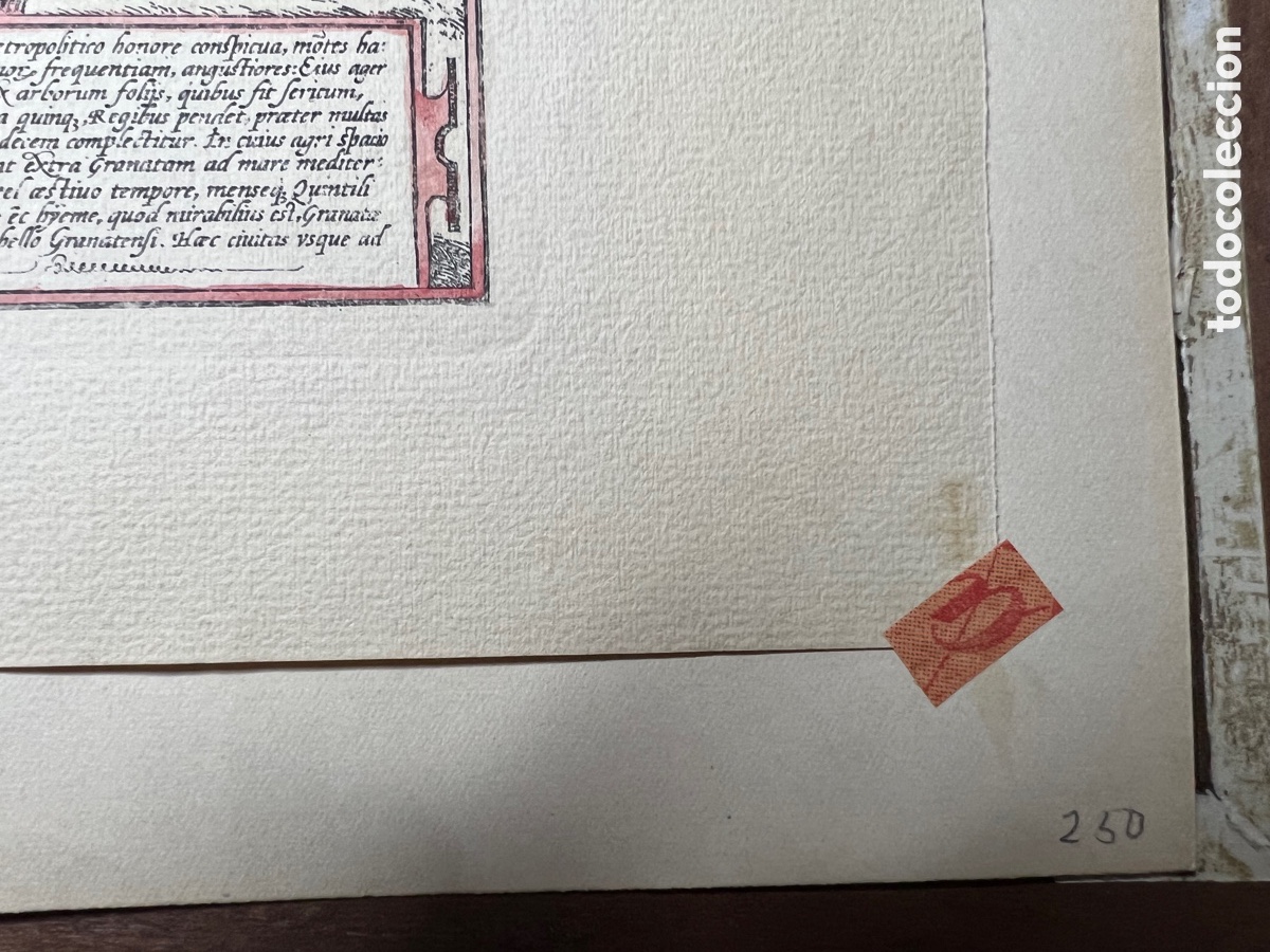 Arte: GRANATA 1480 HOEFNAGEL ? - Foto 3