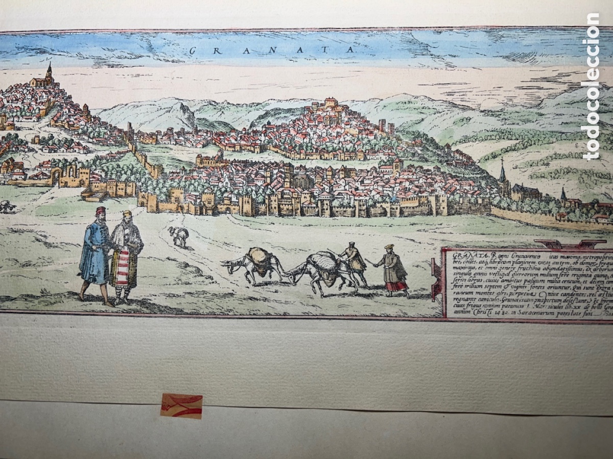 Arte: GRANATA 1480 HOEFNAGEL ? - Foto 5