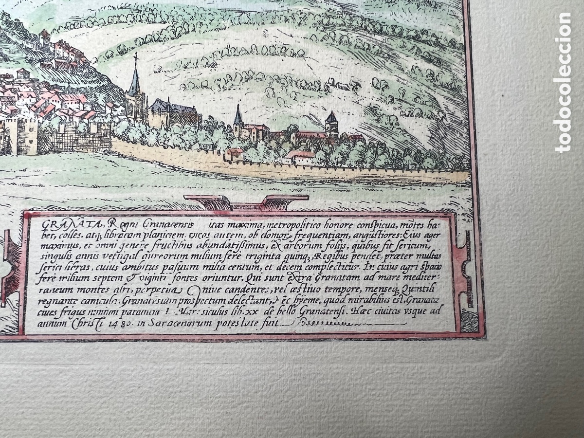 Arte: GRANATA 1480 HOEFNAGEL ? - Foto 6