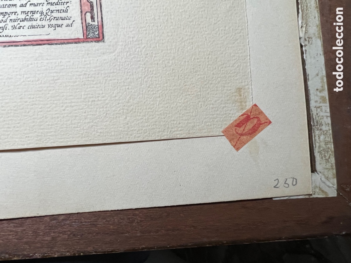 Arte: GRANATA 1480 HOEFNAGEL ? - Foto 7