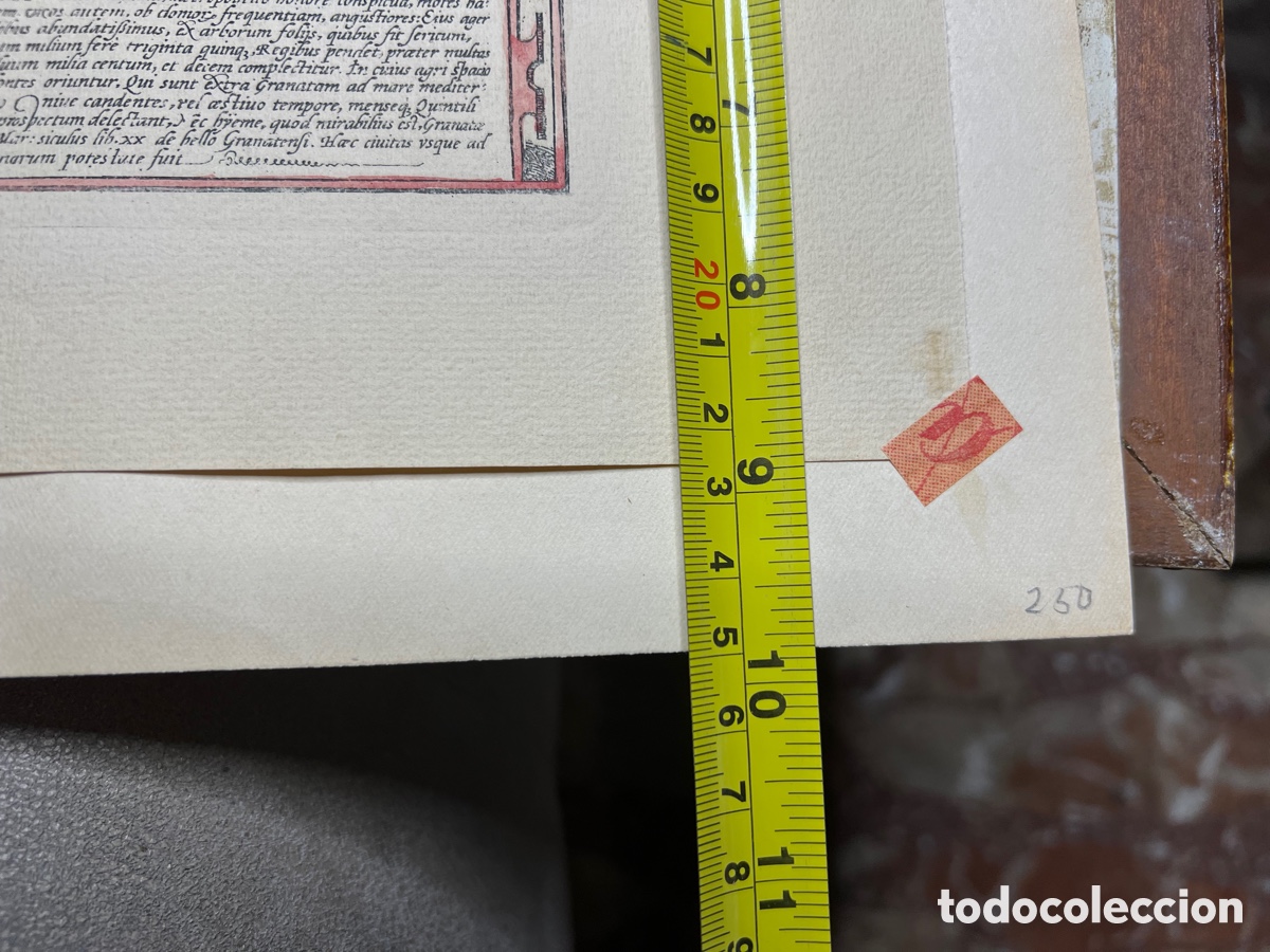 Arte: GRANATA 1480 HOEFNAGEL ? - Foto 11