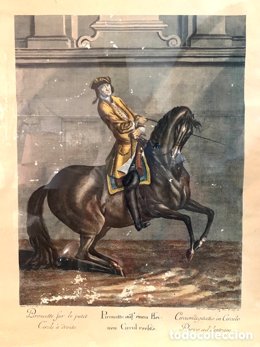 Arte: ANTIGUO GRABADO RIDINGER - Foto 2