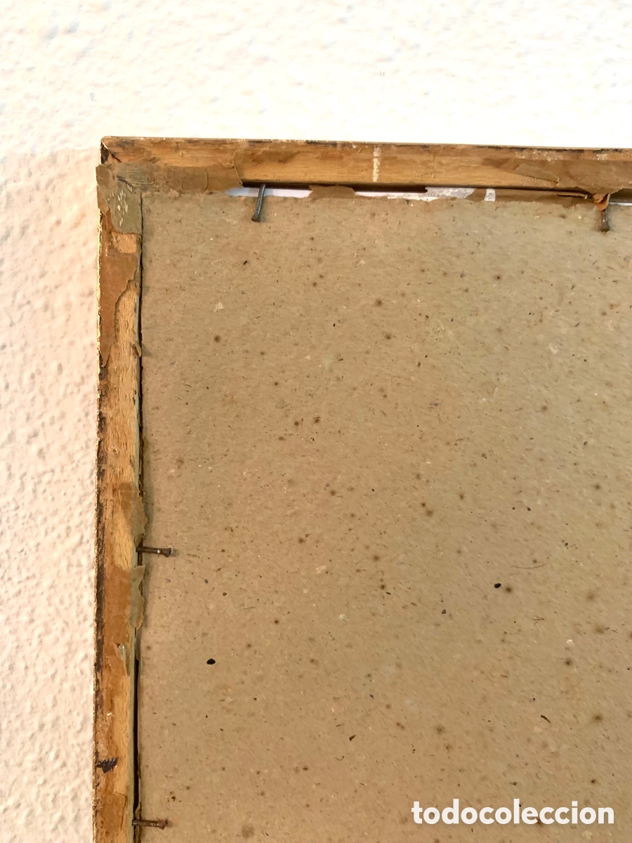 Arte: ANTIGUO GRABADO RIDINGER - Foto 5