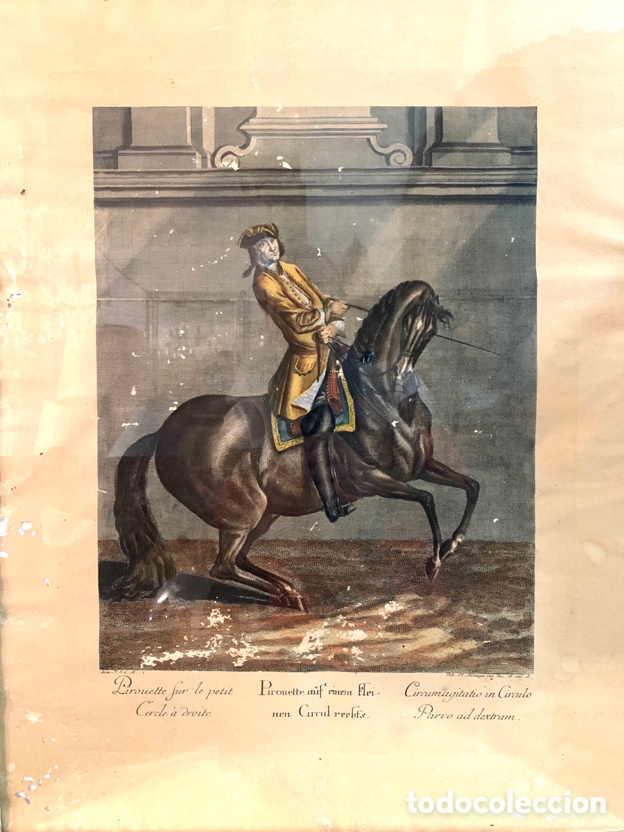 Arte: ANTIGUO GRABADO RIDINGER - Foto 7