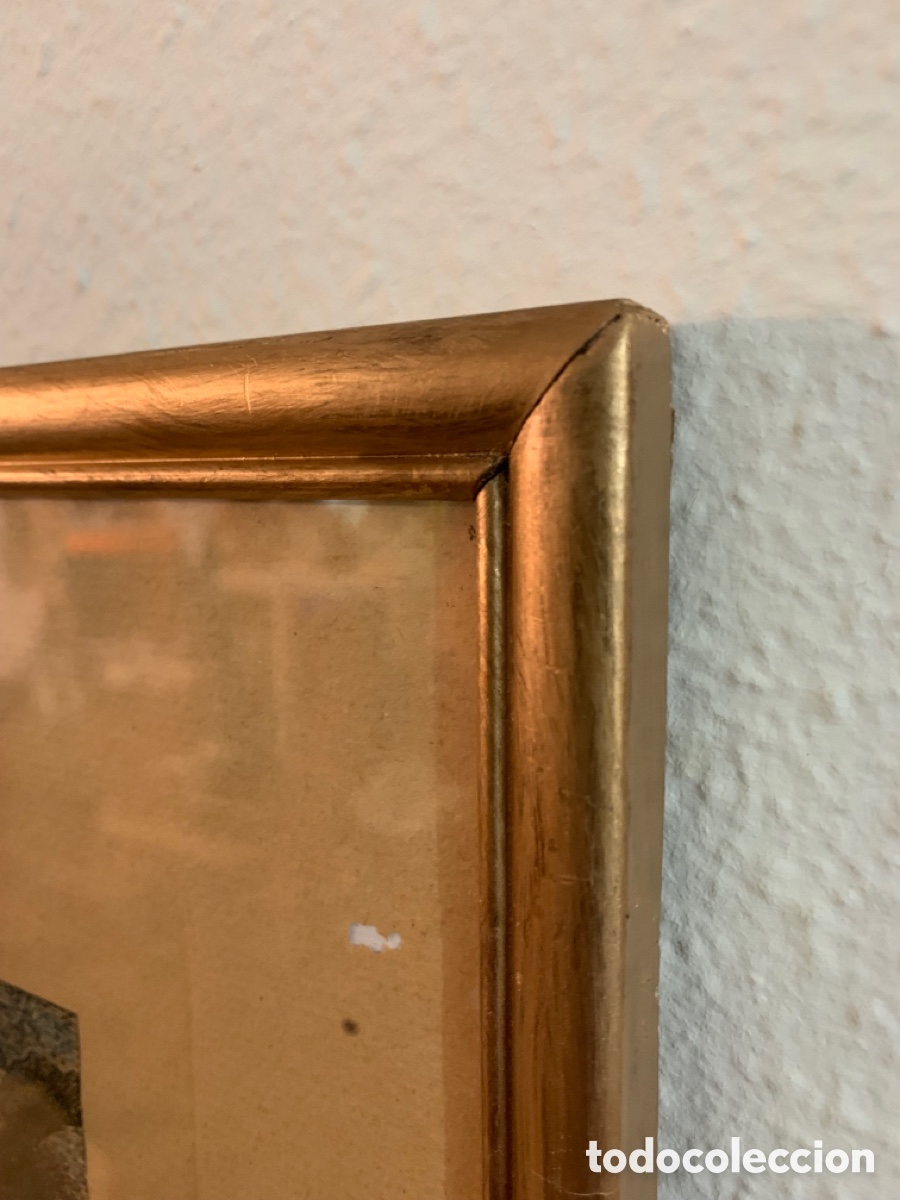 Arte: ANTIGUO GRABADO RIDINGER - Foto 8