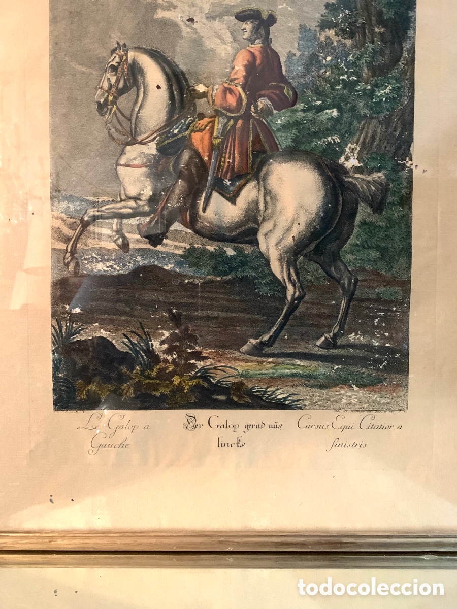 Arte: ANTIGUO GRABADO RIDINGER - Foto 3