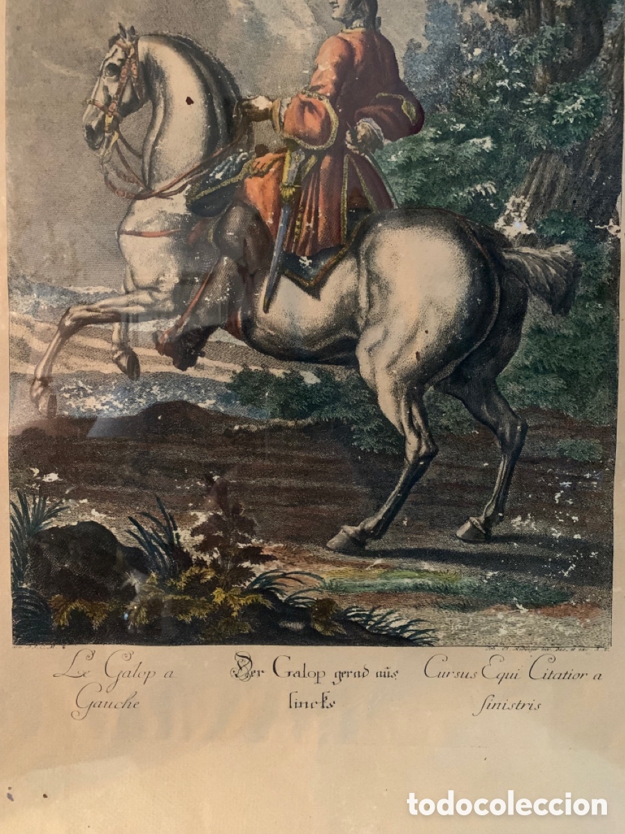 Arte: ANTIGUO GRABADO RIDINGER - Foto 4