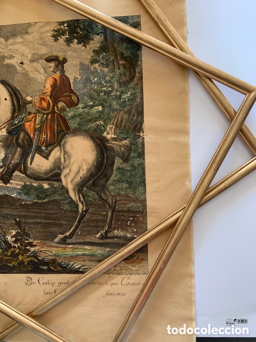 Arte: ANTIGUO GRABADO RIDINGER - Foto 7