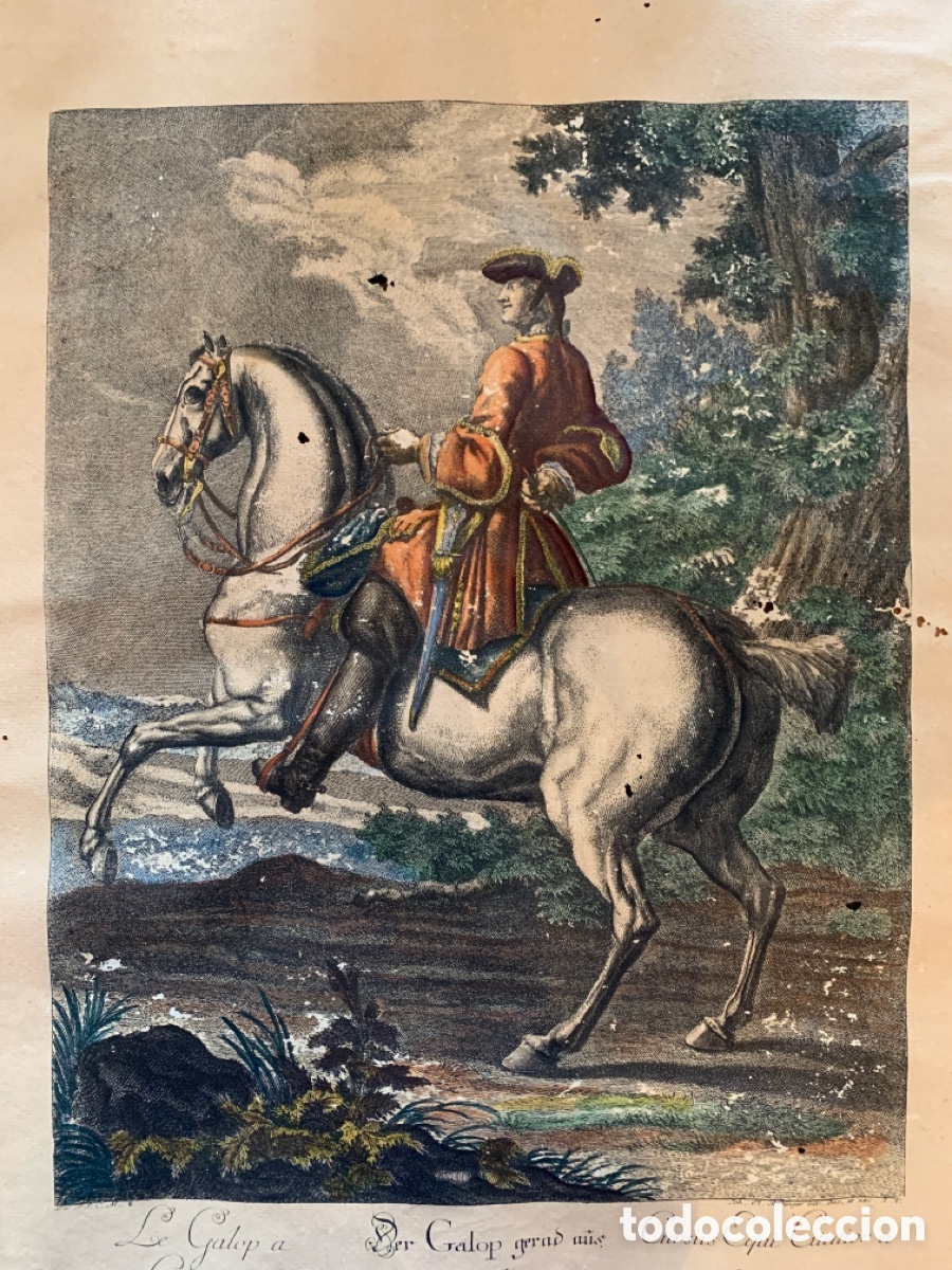 Arte: ANTIGUO GRABADO RIDINGER - Foto 12