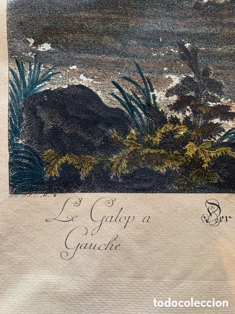 Arte: ANTIGUO GRABADO RIDINGER - Foto 13