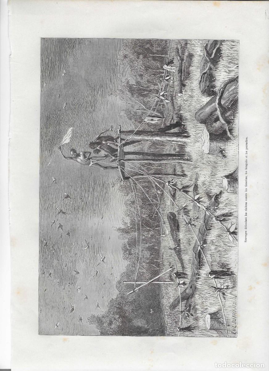 Arte: africa: proteccion de cosechas