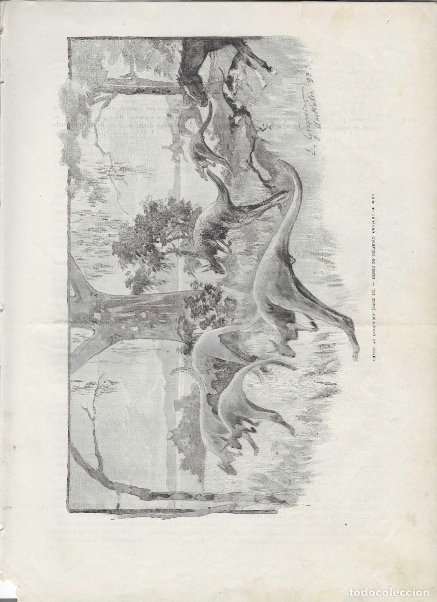 Arte: australia: caza de canguros