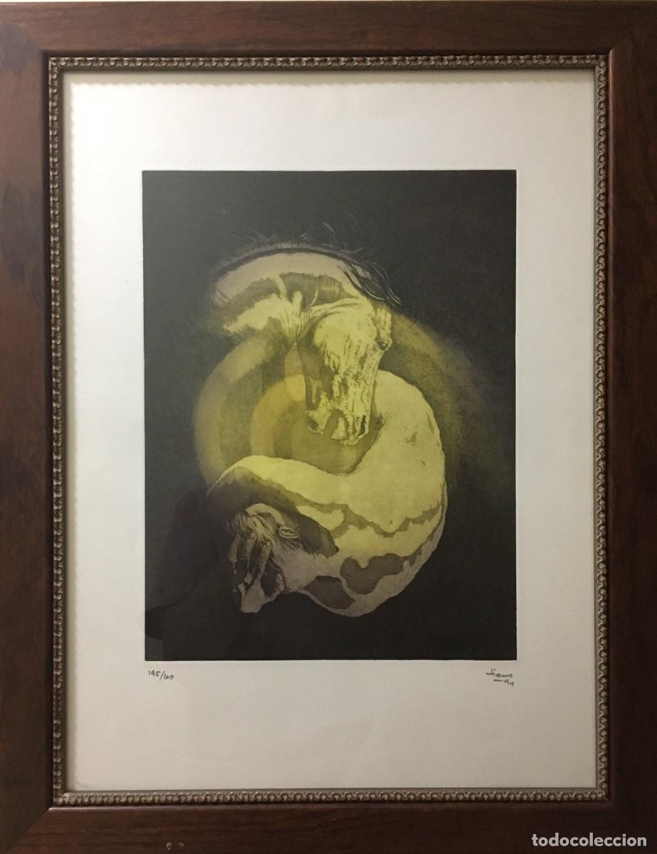 Arte: Facundo Fierro - Foto 1