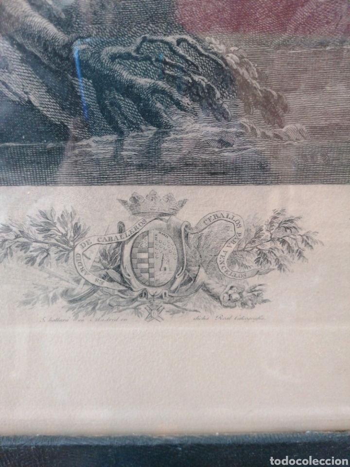Arte: Gravado la caza del avestruz - Foto 4