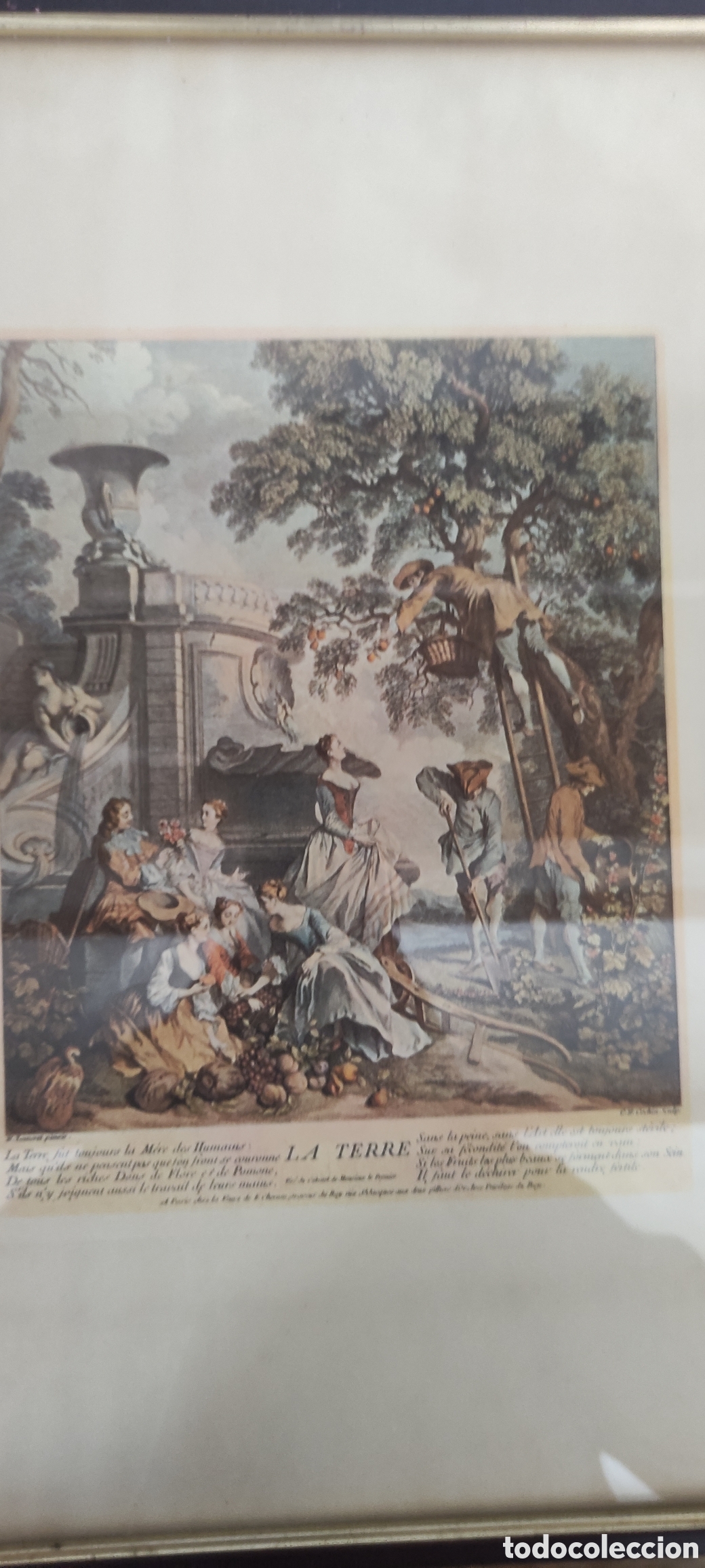Arte: Cuadro, GRABADO ANTIGUO &rdquo;LA TERRE&rdquo; - Foto 2