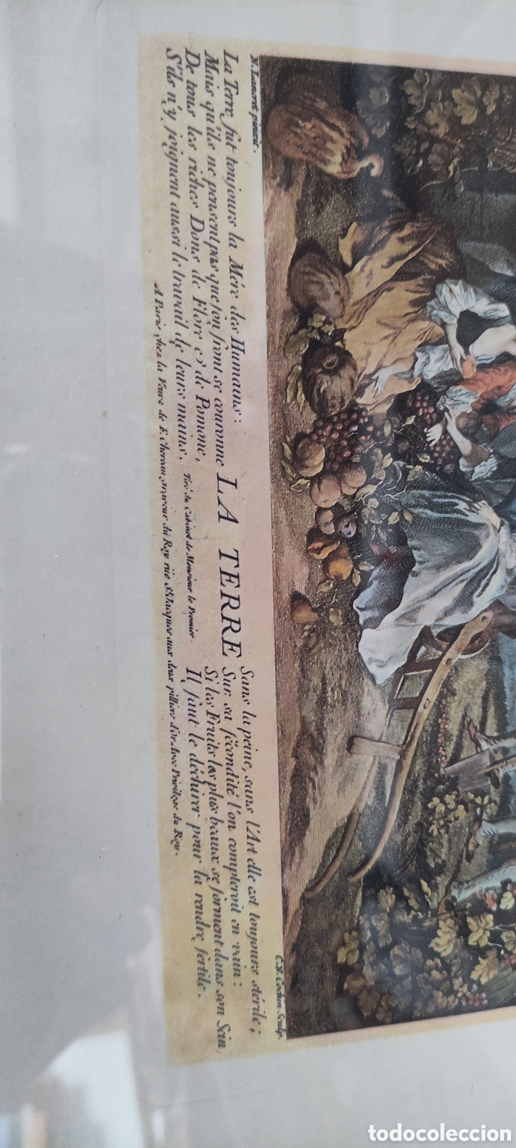 Arte: Cuadro, GRABADO ANTIGUO &rdquo;LA TERRE&rdquo; - Foto 3