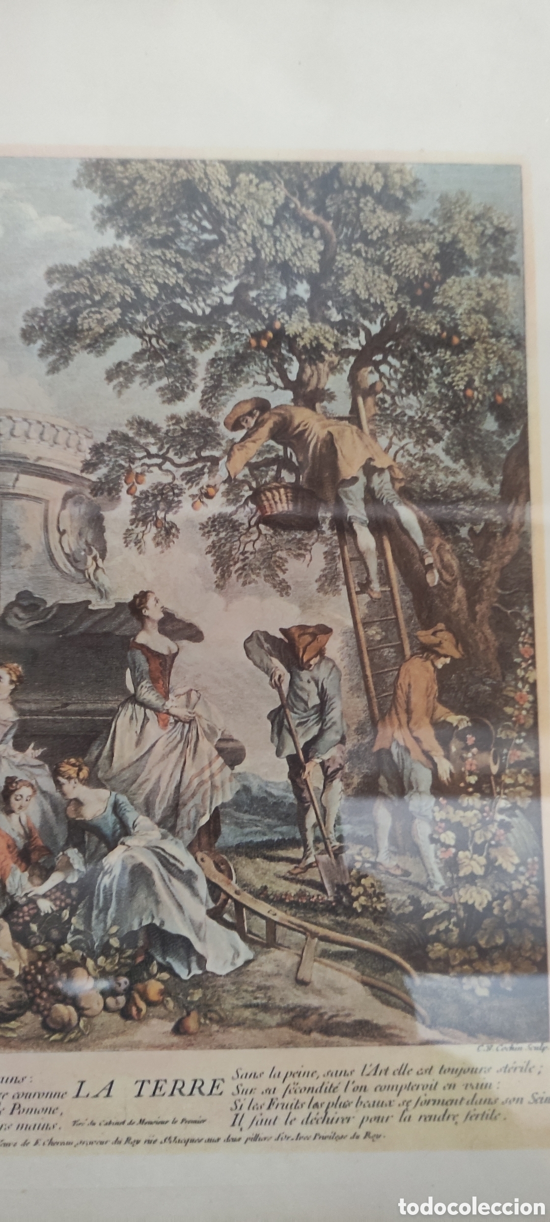 Arte: Cuadro, GRABADO ANTIGUO &rdquo;LA TERRE&rdquo; - Foto 5