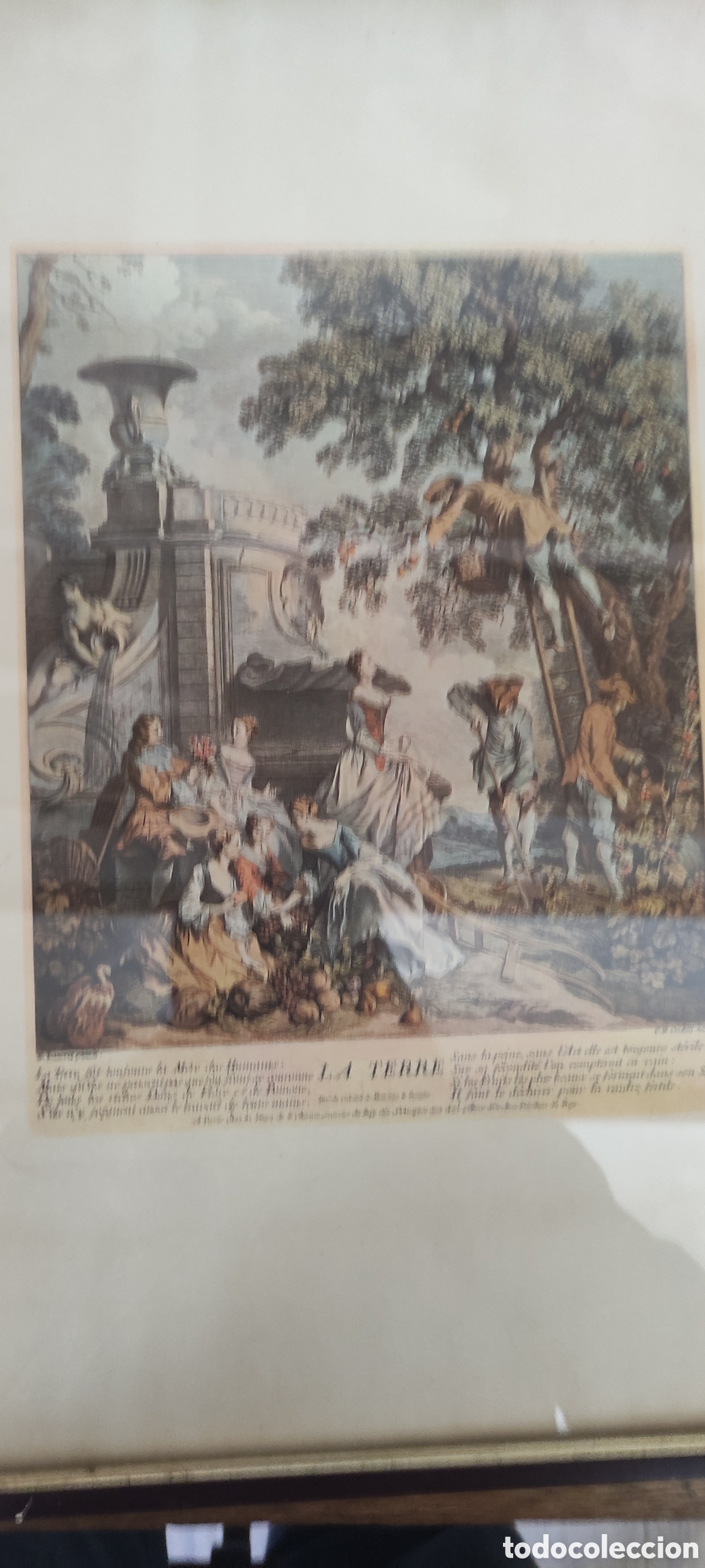 Arte: Cuadro, GRABADO ANTIGUO &rdquo;LA TERRE&rdquo; - Foto 6