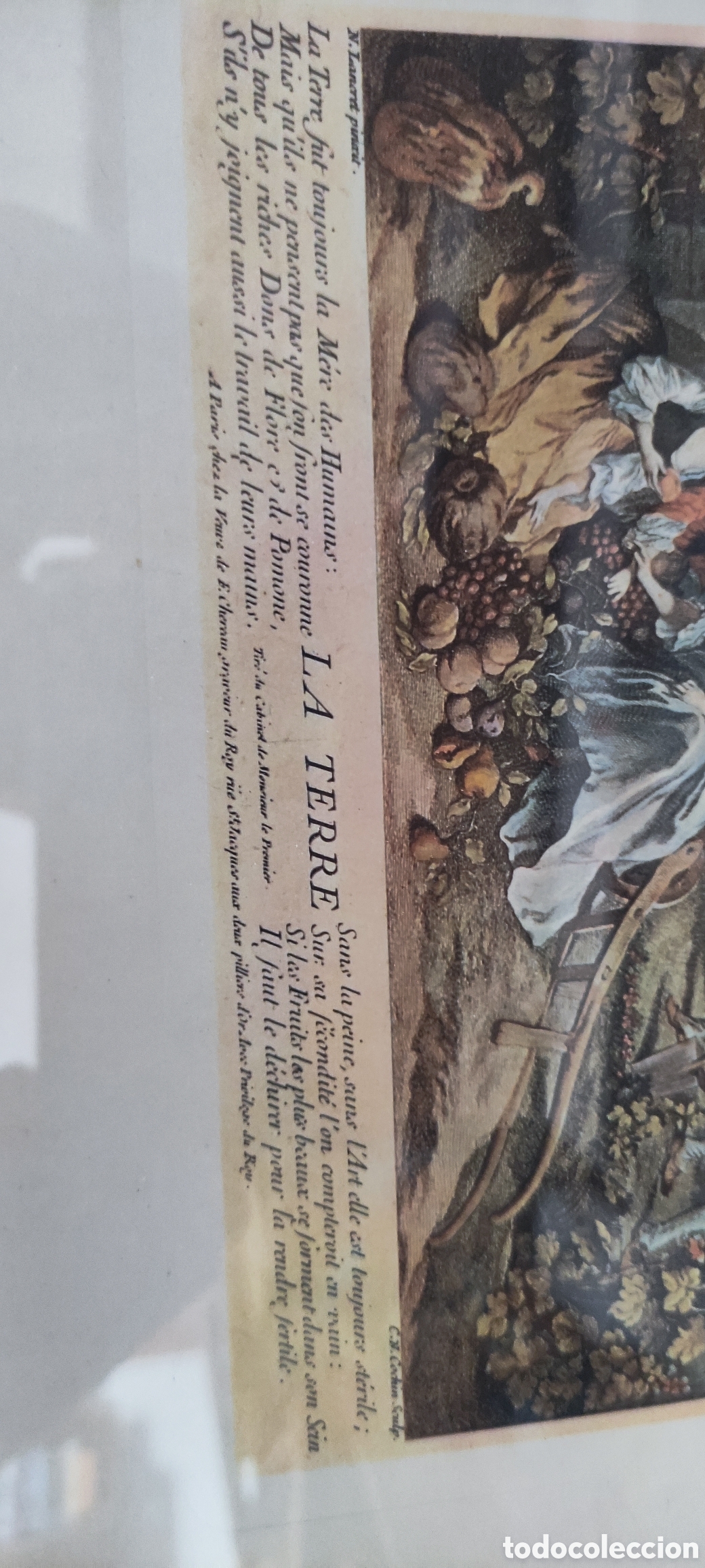 Arte: Cuadro, GRABADO ANTIGUO &rdquo;LA TERRE&rdquo; - Foto 7
