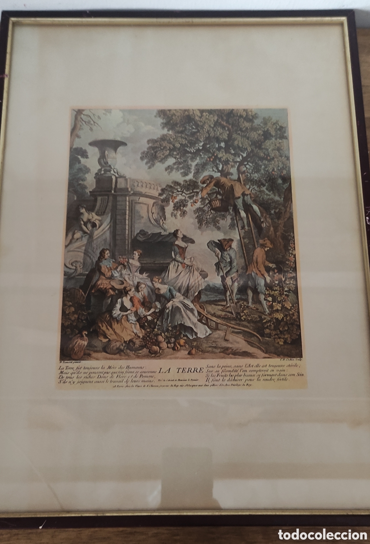 Arte: Cuadro, GRABADO ANTIGUO &rdquo;LA TERRE&rdquo; - Foto 1