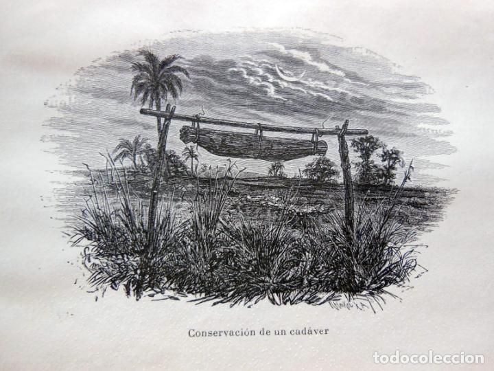 Arte: CONSERVACI&Oacute;N DE UN CAD&Aacute;VER. CONGO. 1890