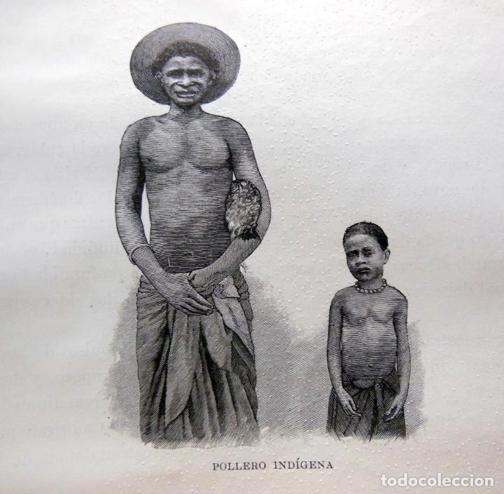 Arte: POLLERO IND&Iacute;GENA. EL CONGO. 1890.