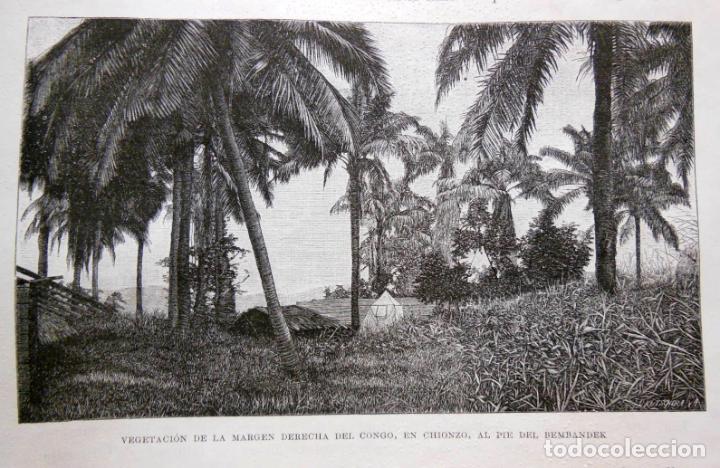 Arte: VEGETACI&Oacute;N DE LA MARGEN DERECHA DEL CONGO, EN CHIONZO, AL PIE DEL BEMBANDER. EL CONGO. 1890