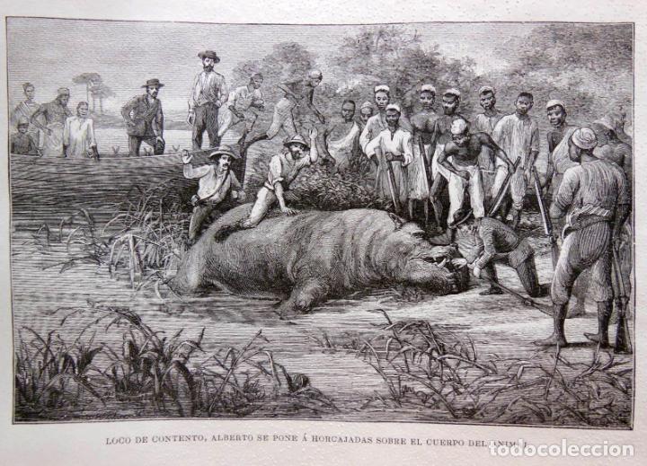 Arte: LOCO DE CONTENTO, ALBERTO SE PONE A HORCAJADAS SOBRE EL CUERPO DEL ANIMAL. EL CONGO.1890