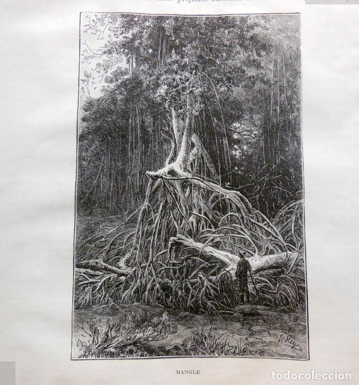 Arte: MANGLE. EL CONGO. 1890