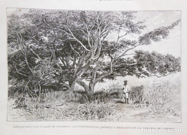 Arte: &Aacute;RBOLES BAJO LOS CUALES SE CELEBRAN LAS CONFERENCIAS (PALAVER) Y MERCADOS EN CABINDA. CONGO. 1890