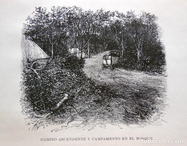 Arte: CAMINO ASCENDENTE Y CAMPAMENTO EN EL BOSQUE (El Congo) 1890
