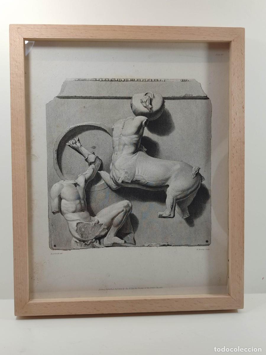 Art: Metopa del Partenon, Centauro, Ancient marbles The British Museum 1826, Plancha VII, Cuadro