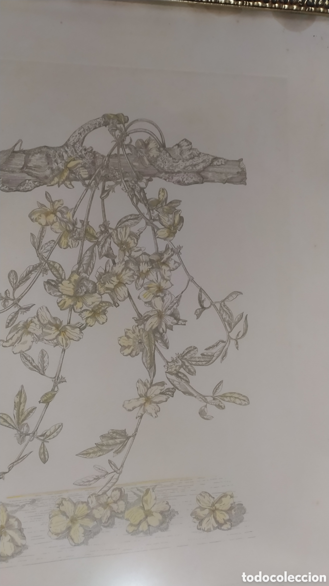 Arte: Grabado Marta Chirino. - Foto 3