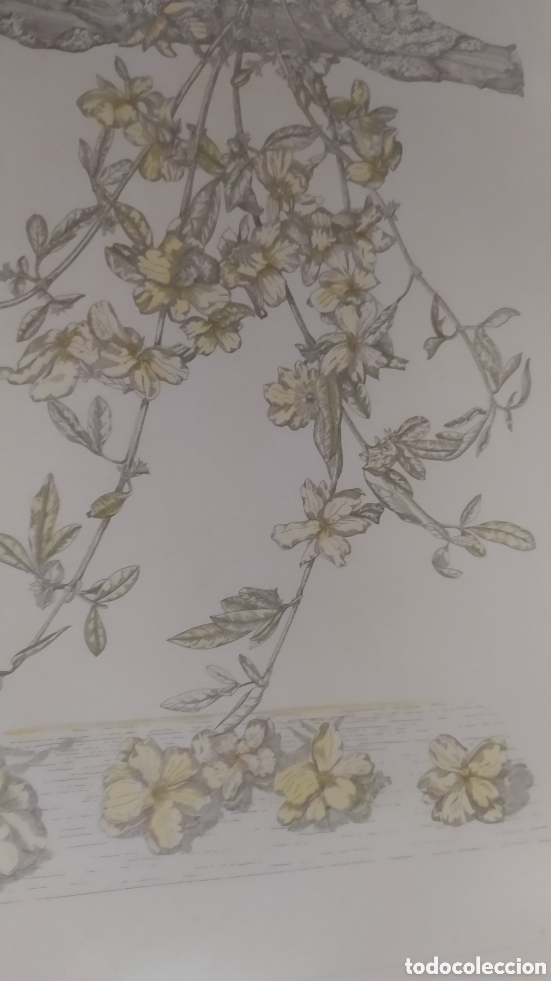 Arte: Grabado Marta Chirino. - Foto 6