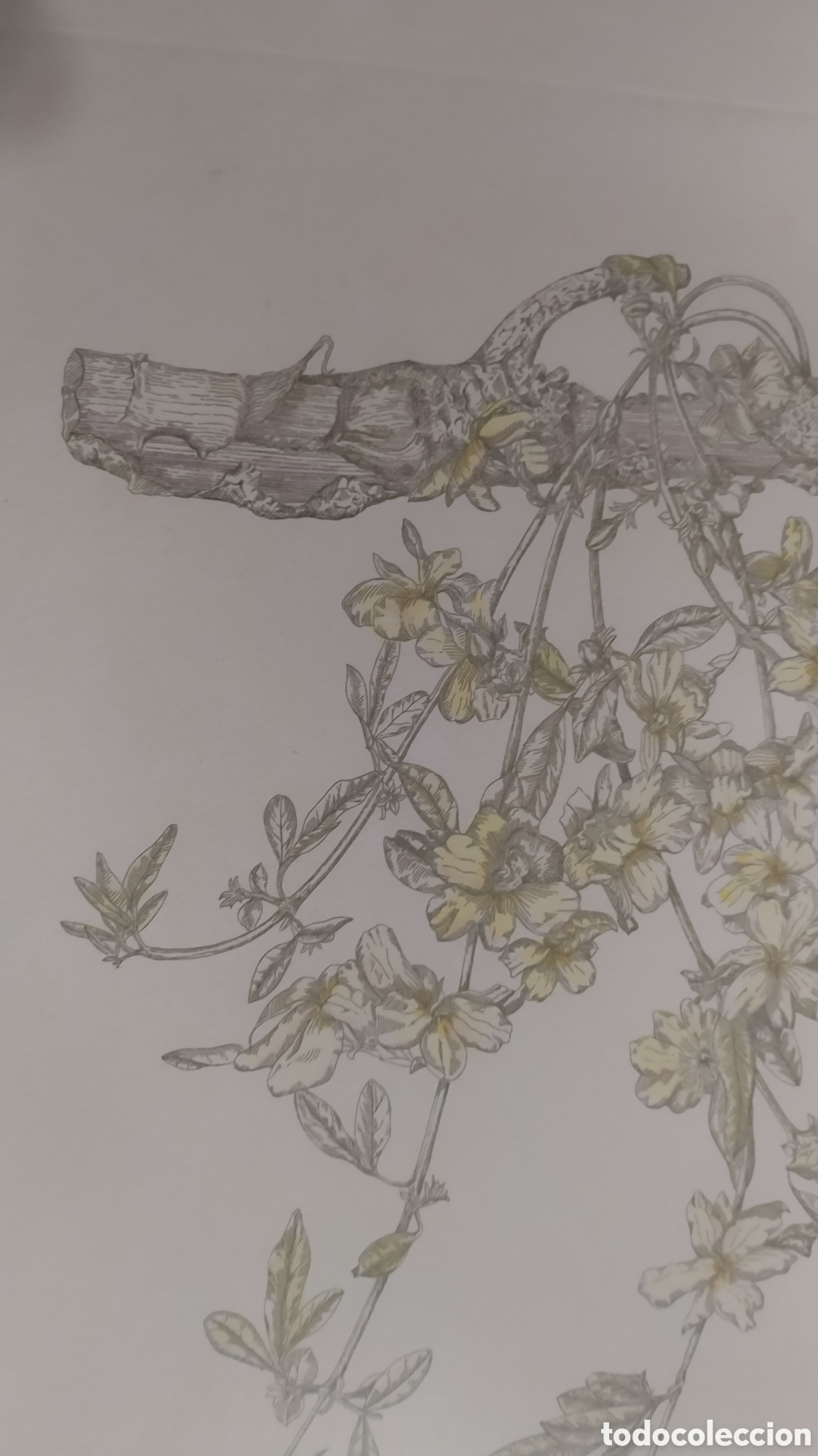 Arte: Grabado Marta Chirino. - Foto 7