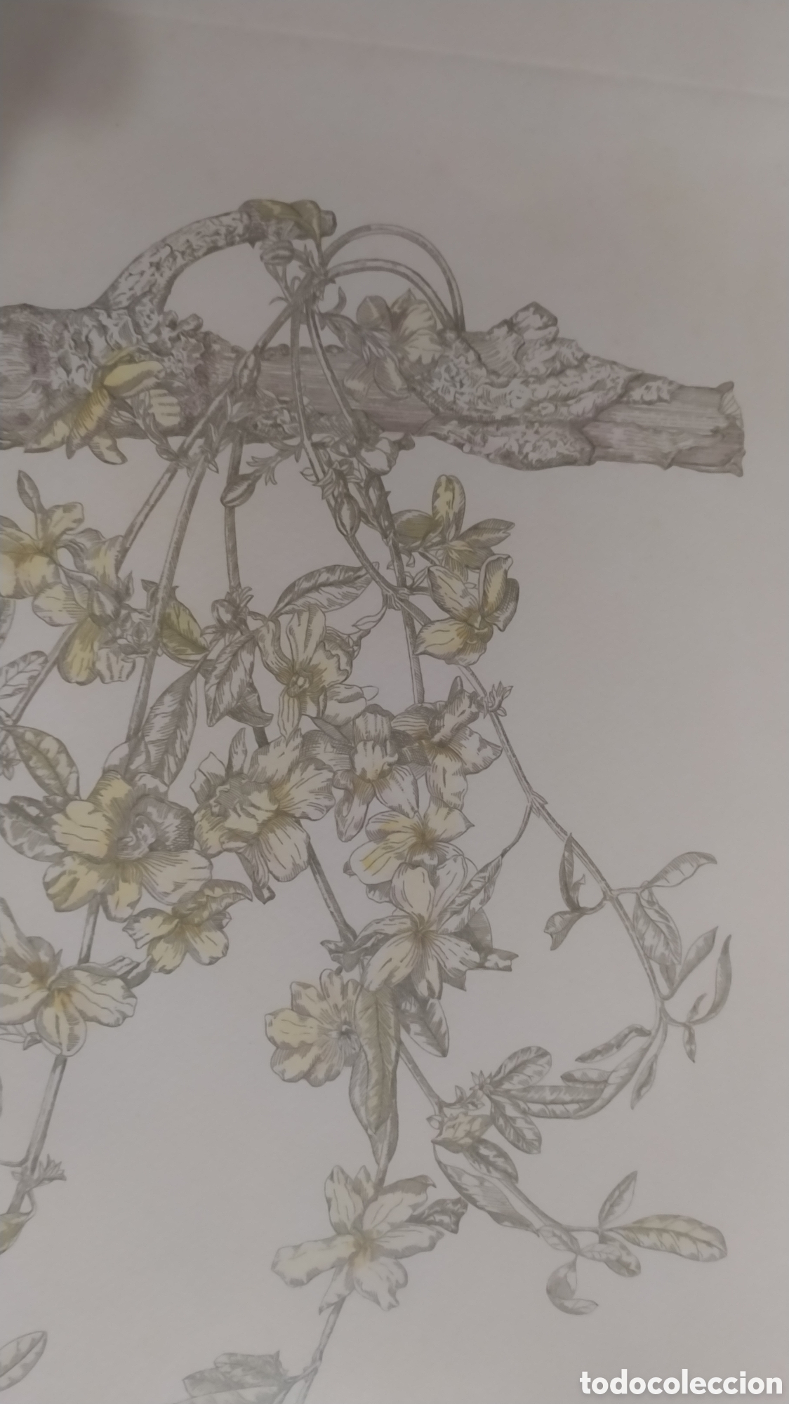 Arte: Grabado Marta Chirino. - Foto 8
