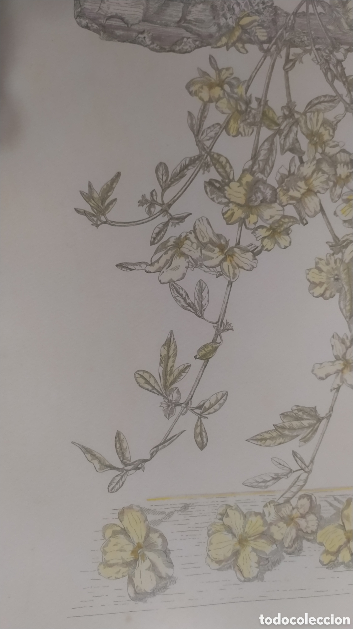 Arte: Grabado Marta Chirino. - Foto 9
