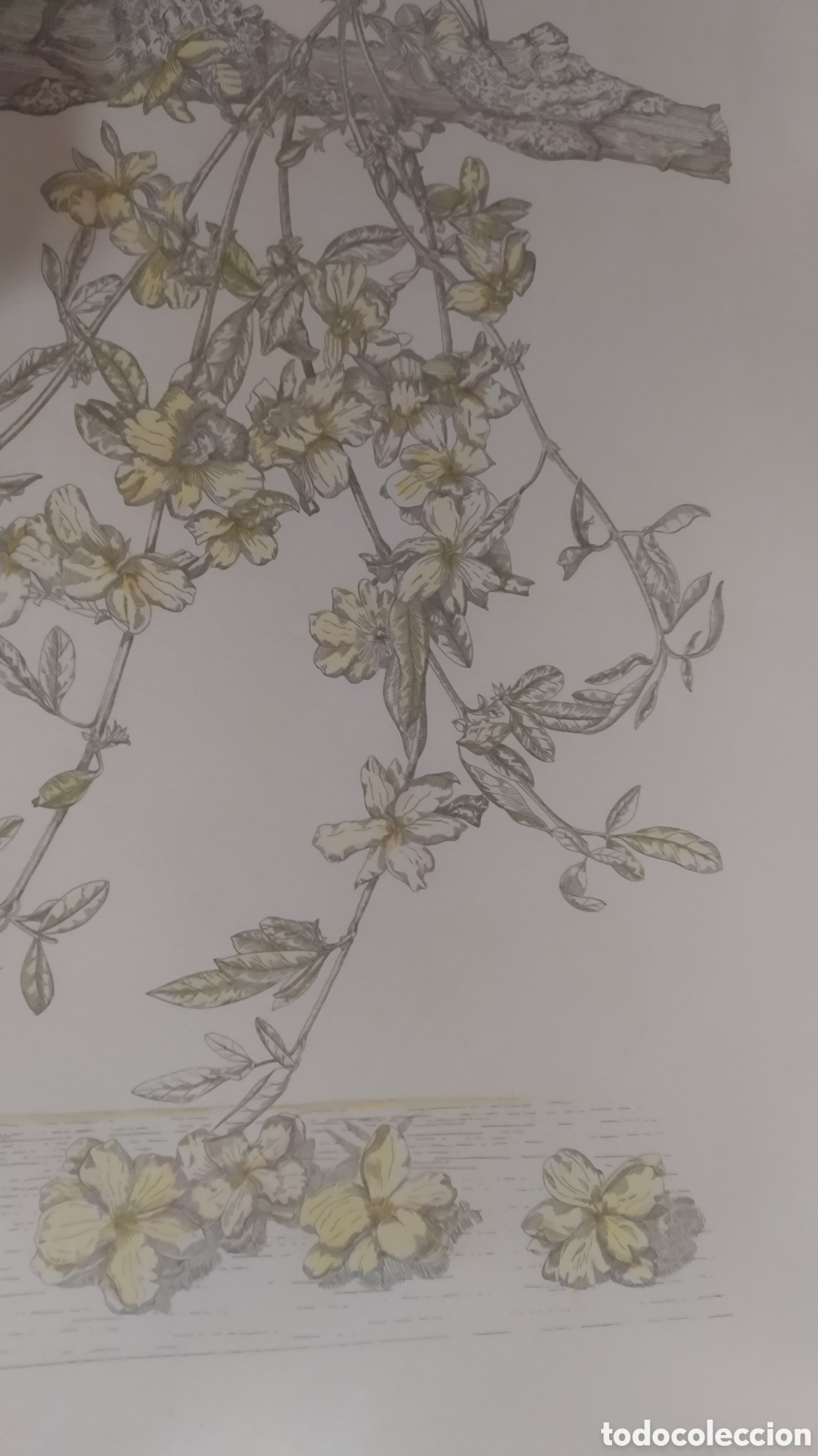 Arte: Grabado Marta Chirino. - Foto 10
